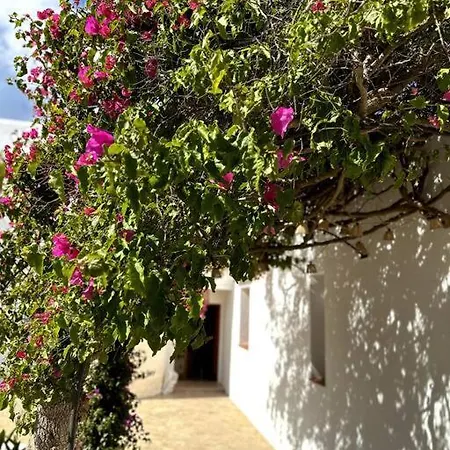 4 Palms - Renovated In The Countryside 5 Minutes From Ibiza Town * Santa Eulària des Riu