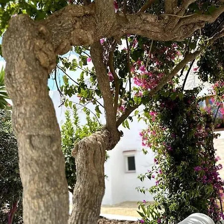 4 Palms - Renovated In The Countryside 5 Minutes From Ibiza Town Villa Santa Eulària des Riu