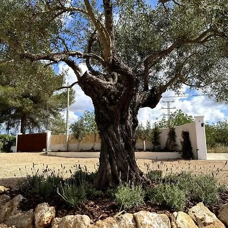 Villa 4 Palms - Renovated In The Countryside 5 Minutes From Ibiza Town *